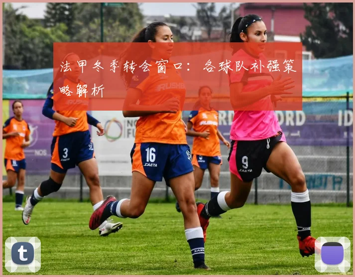 法甲冬季转会窗口:各球队补强策略解析